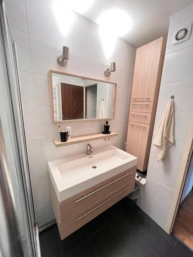 Sarhan Two-Room Apartment Brüksel